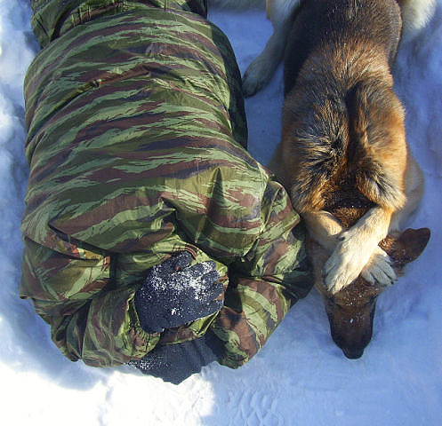497x480, 63 Kb / зима, солдат, собака, учения, вспышка