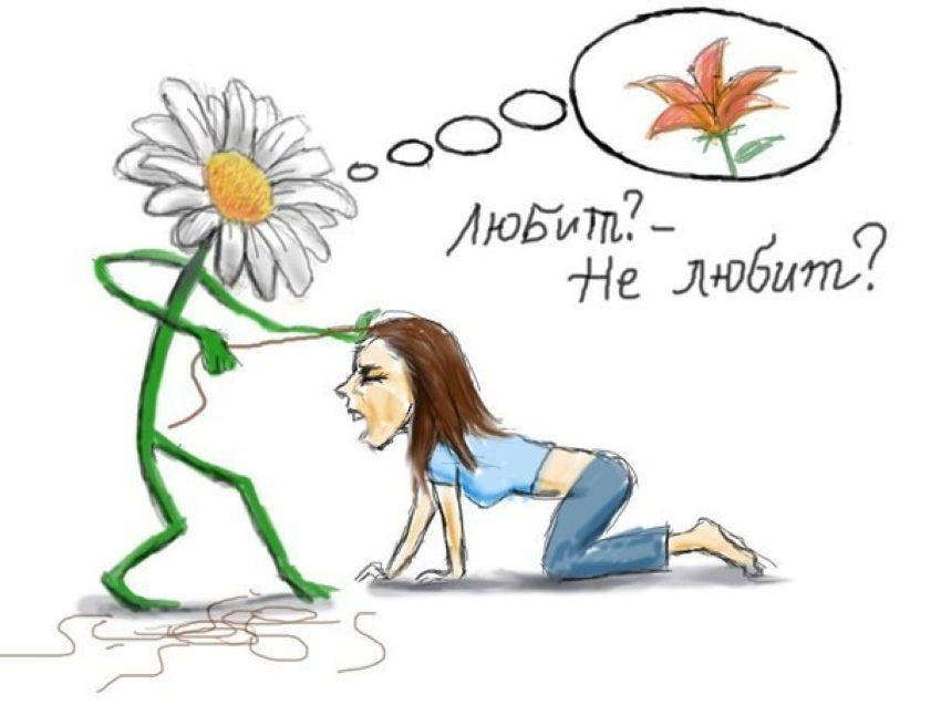 850x637, 111 Kb / гадание, ромашка, цветок, девушка, любит, не любит