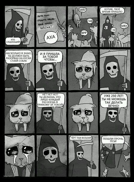 446x604, 110 Kb / смерть, кошка