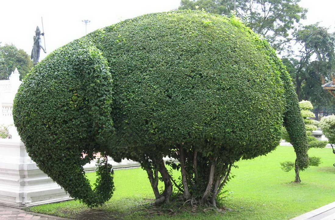 1099x722, 155 Kb / слон, дерево, куст