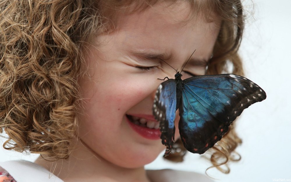 1000x626, 125 Kb / девочка, лицо, бабочка