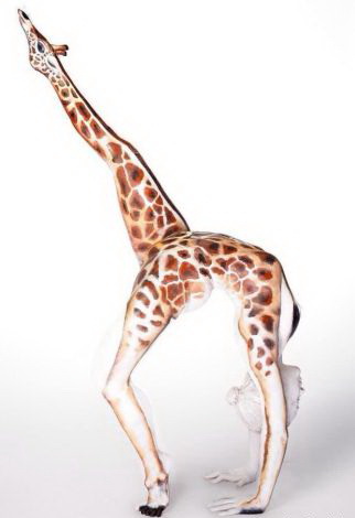 322x470, 24 Kb / жираф, бодиарт, поза, гимнастика, гибкость