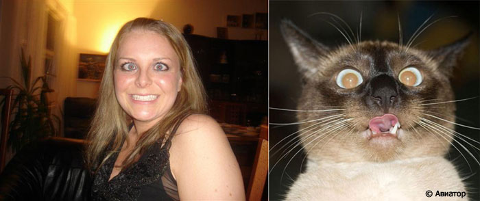 700x294, 43 Kb / рожи