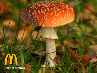 400x300, 23 Kb / макдональдс, мухомор, пиздец