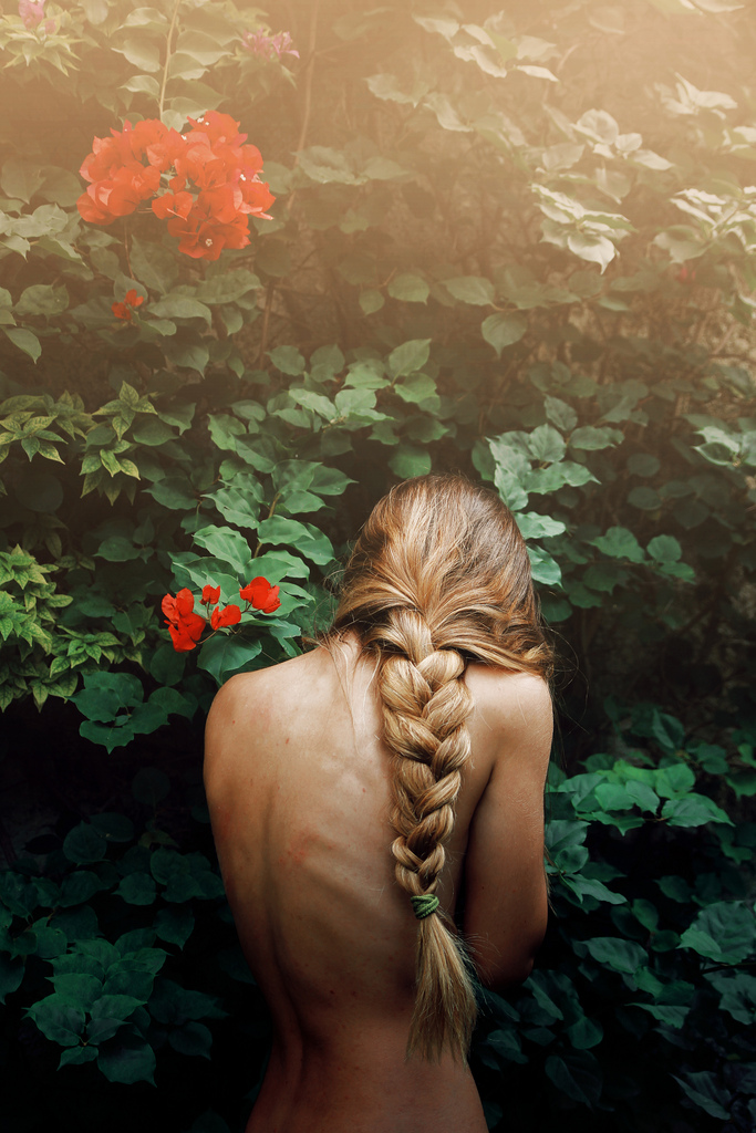 683x1024, 323 Kb / кусты, коса, спина