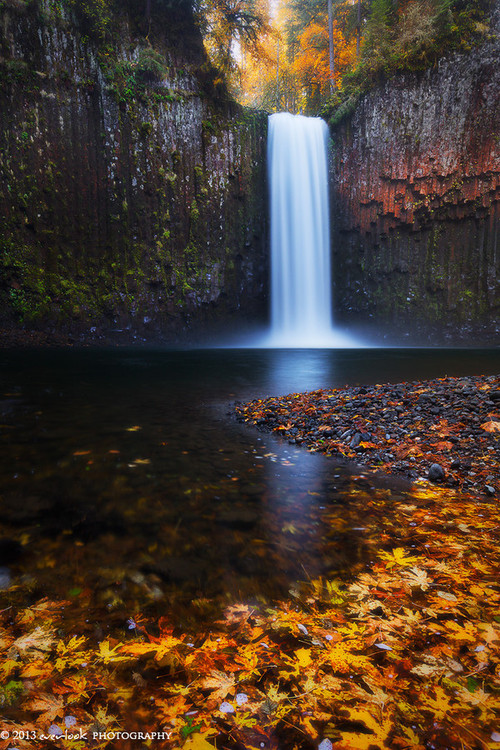 500x750, 222 Kb / водопад, осень, листья