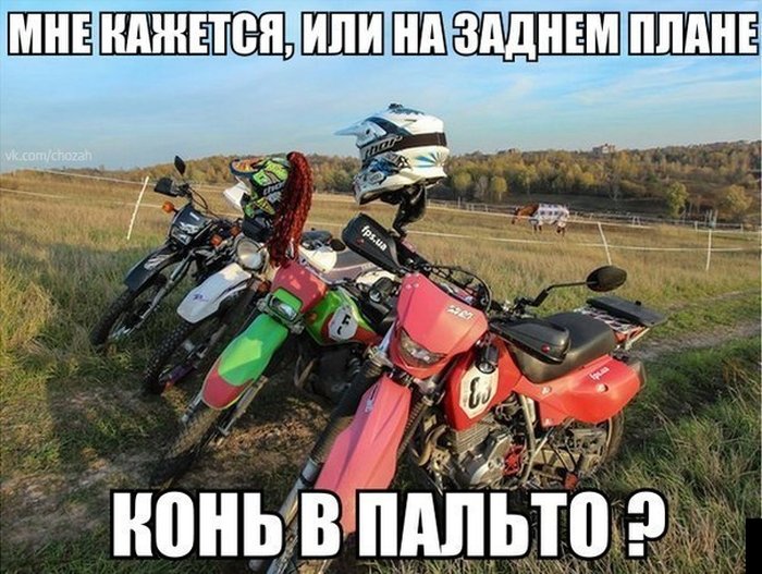 700x527, 104 Kb / мотоциклы, конь в пальто