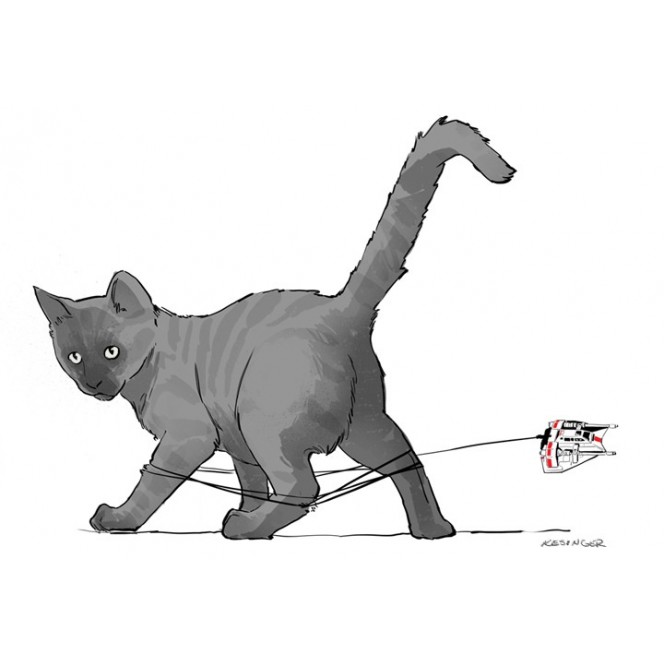 664x664, 36 Kb / star, wars, sw, cat, at