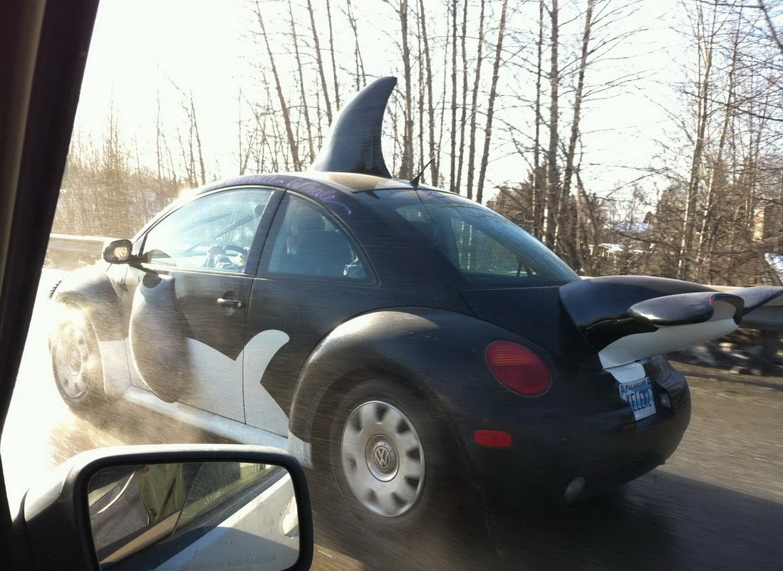 1099x802, 293 Kb / авто, плавник, касатка, косатка