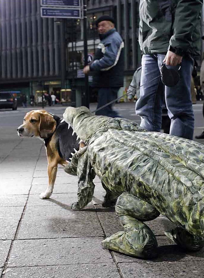 679x924, 169 Kb / улица, поводок, собака, муляж, крокодил, костюм