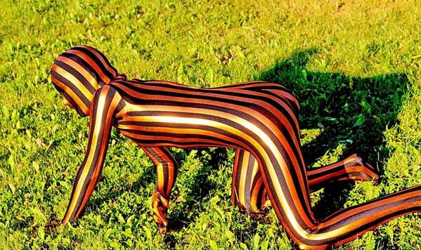 599x356, 81 Kb / колорад, травка, солнышко