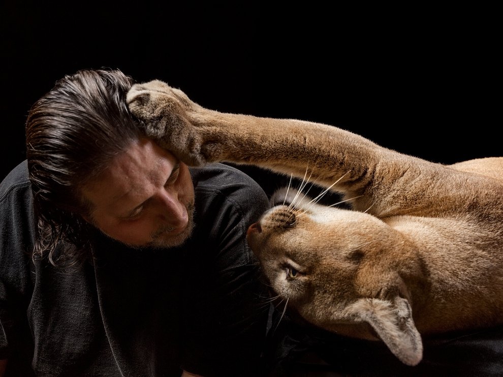 990x742, 119 Kb / человек, пума, доверие