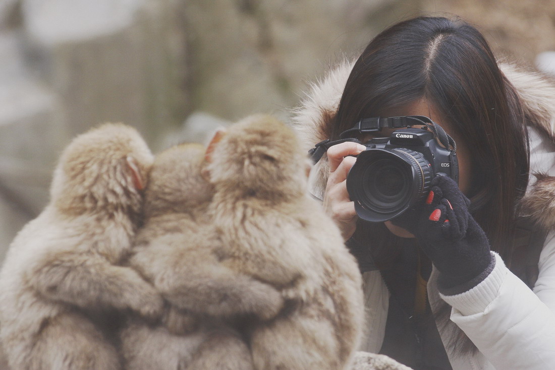 1100x734, 151 Kb / обезьяны, фото, девушка, сиськи