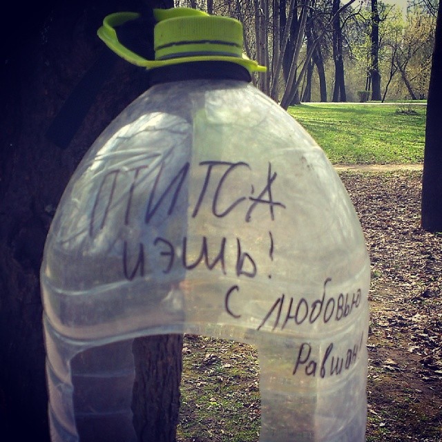 640x640, 134 Kb / кормушка, птица, равшан