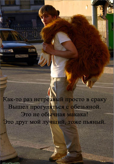 378x544, 207 Kb / обезьяна, пьяный