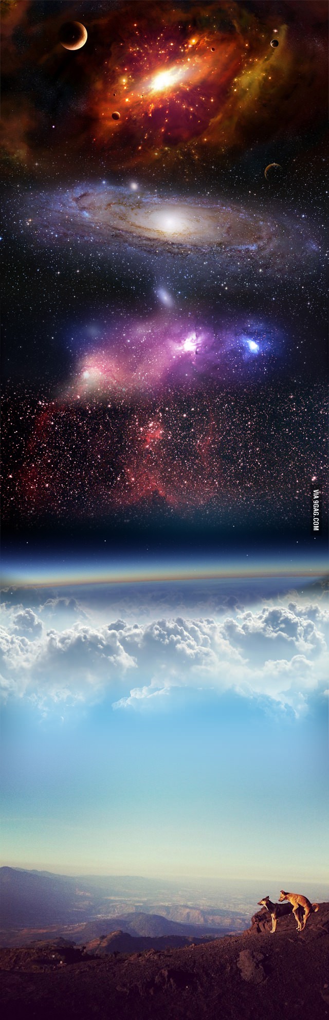 640x1984, 267 Kb / Бытие,тлен,космос,собак