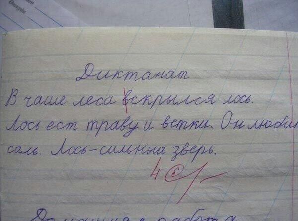 600x445, 39 Kb / диктант, смело