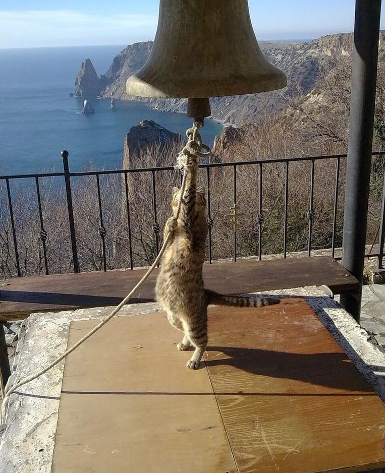 763x938, 204 Kb / кот, звонарь, колокол