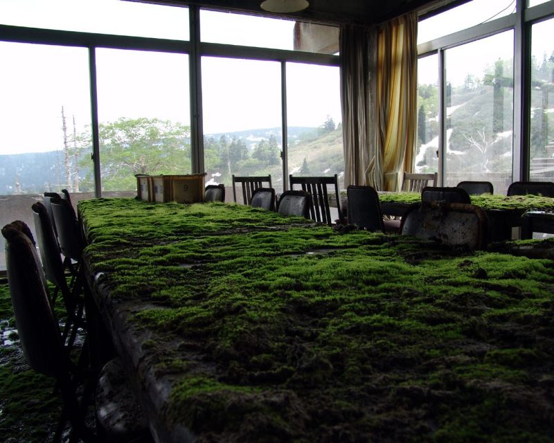 800x640, 92 Kb / отель, япония, заброшенное, стол, трава