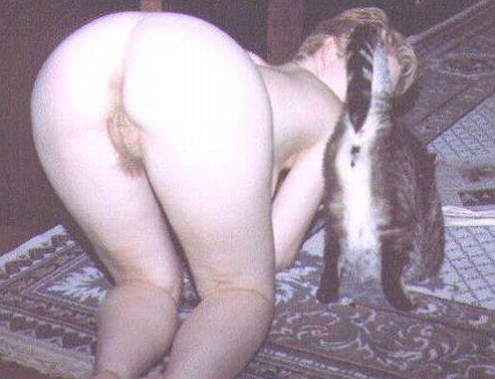 495x379, 164 Kb / киска, жопа, хвост, раком