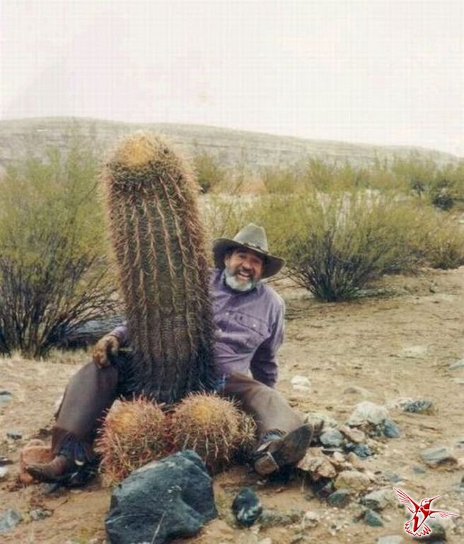 656x770, 89 Kb / мужик, кактус