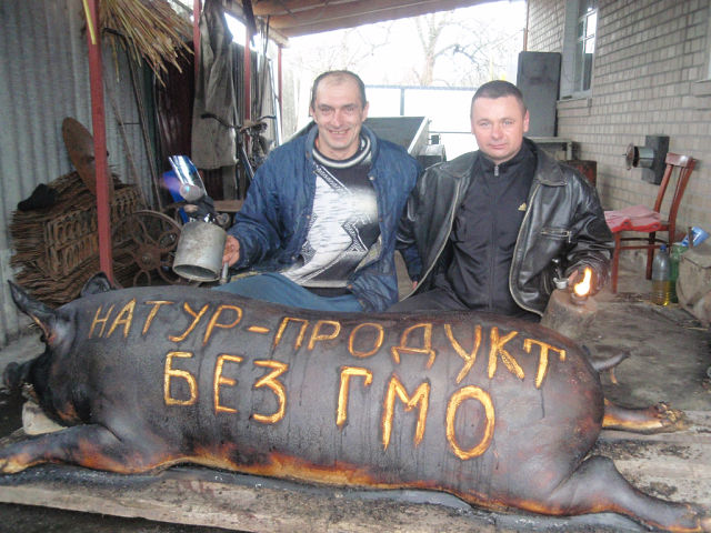 640x480, 82 Kb / свинище, анализ, гмо