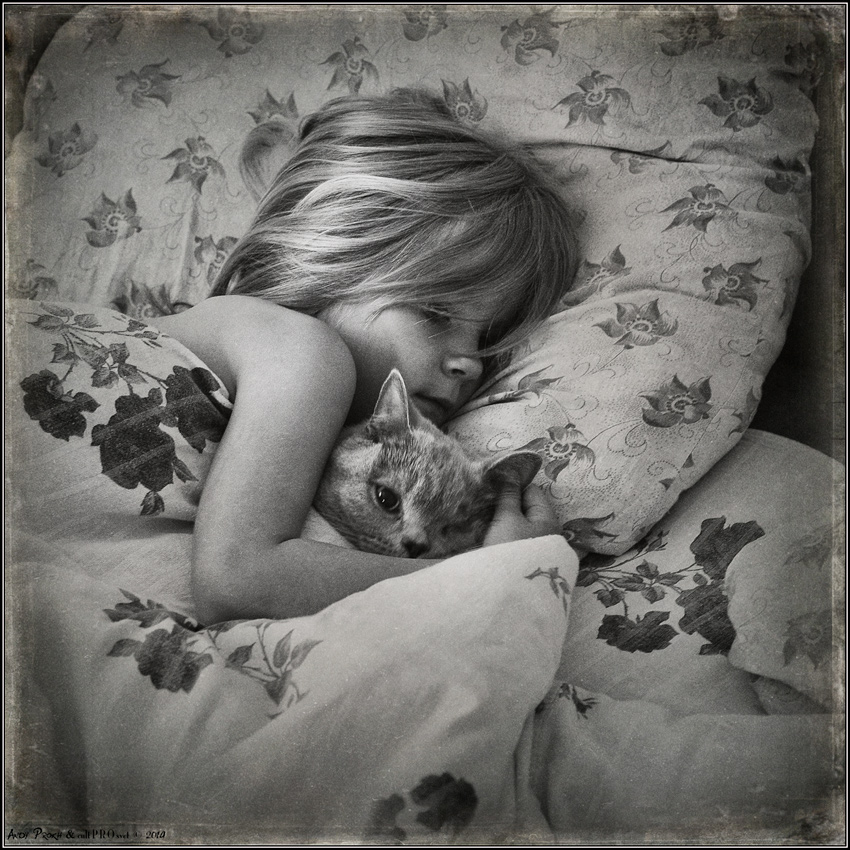 850x850, 337 Kb / девочка, котэ, сон, кровать, THE DREAMERS , подушка