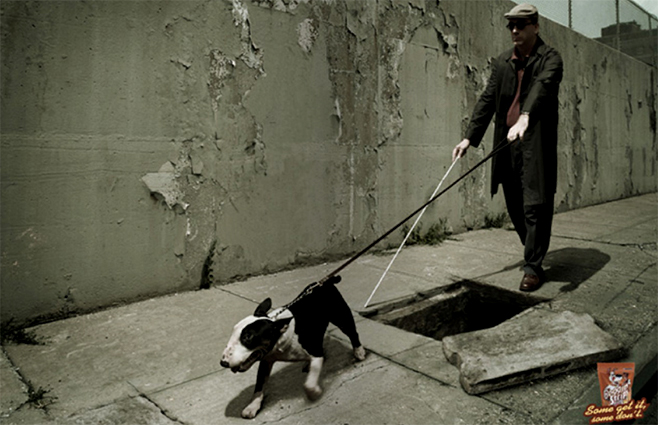 658x425, 188 Kb / проводырь, слепой, яма, питбуль