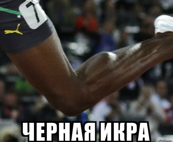 600x490, 54 Kb / мышца, нога, икра