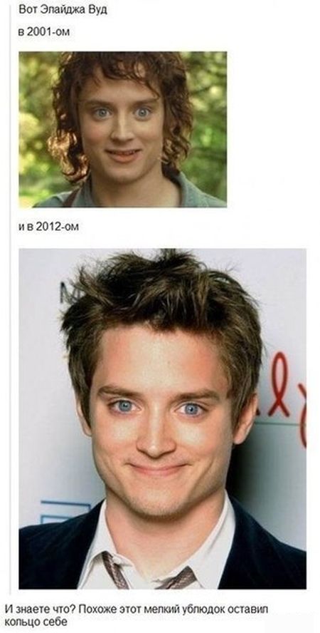 450x888, 49 Kb / элайджа вуд, фродо, ублюдок, кольцо, властелин колец