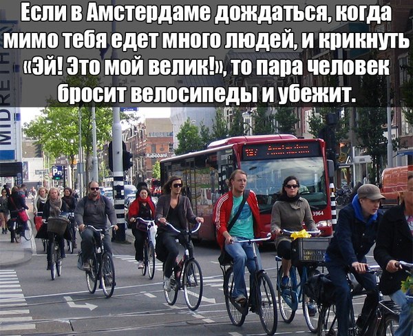 600x488, 112 Kb / амстердам, велосипед, вор