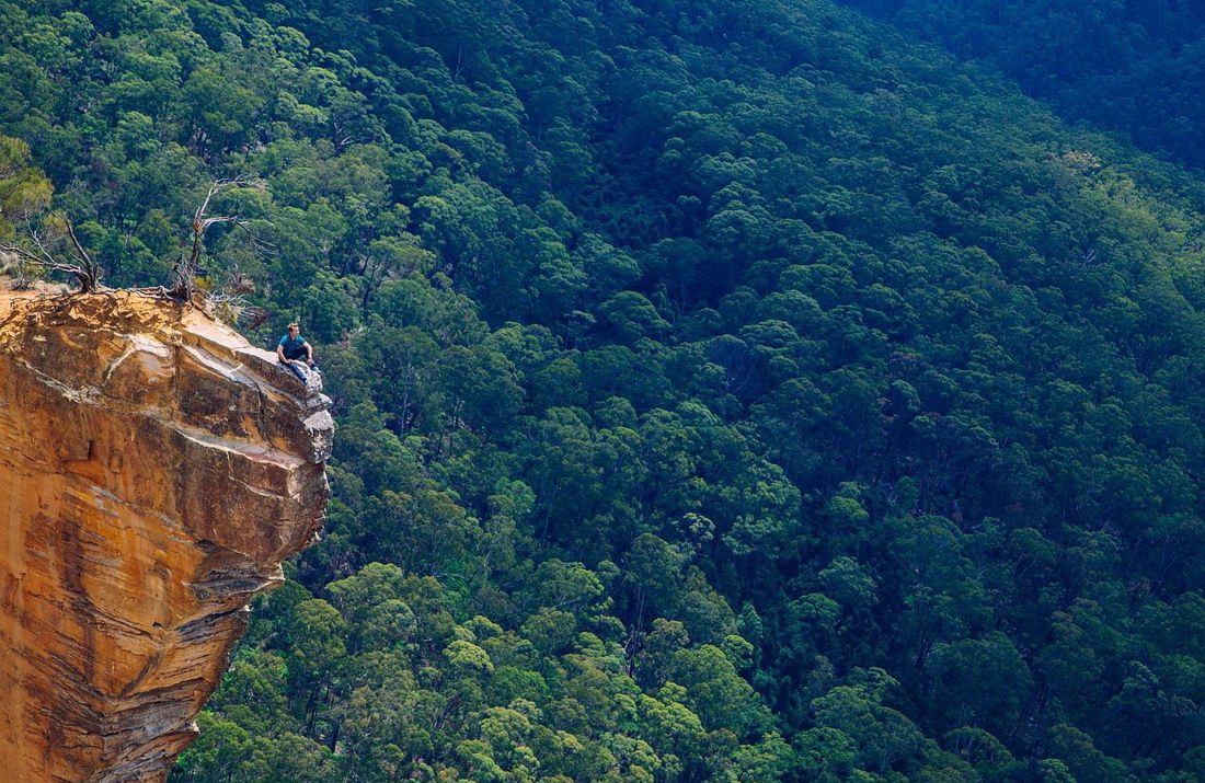 1100x715, 303 Kb / скала, лес, обрыв