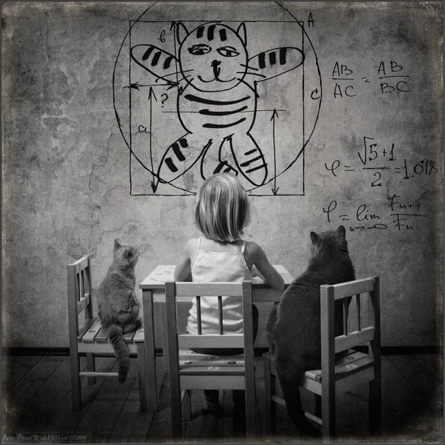 650x650, 177 Kb / вертувианский кот, стeна, стoл, cтул, фoрмулы, рисунoк