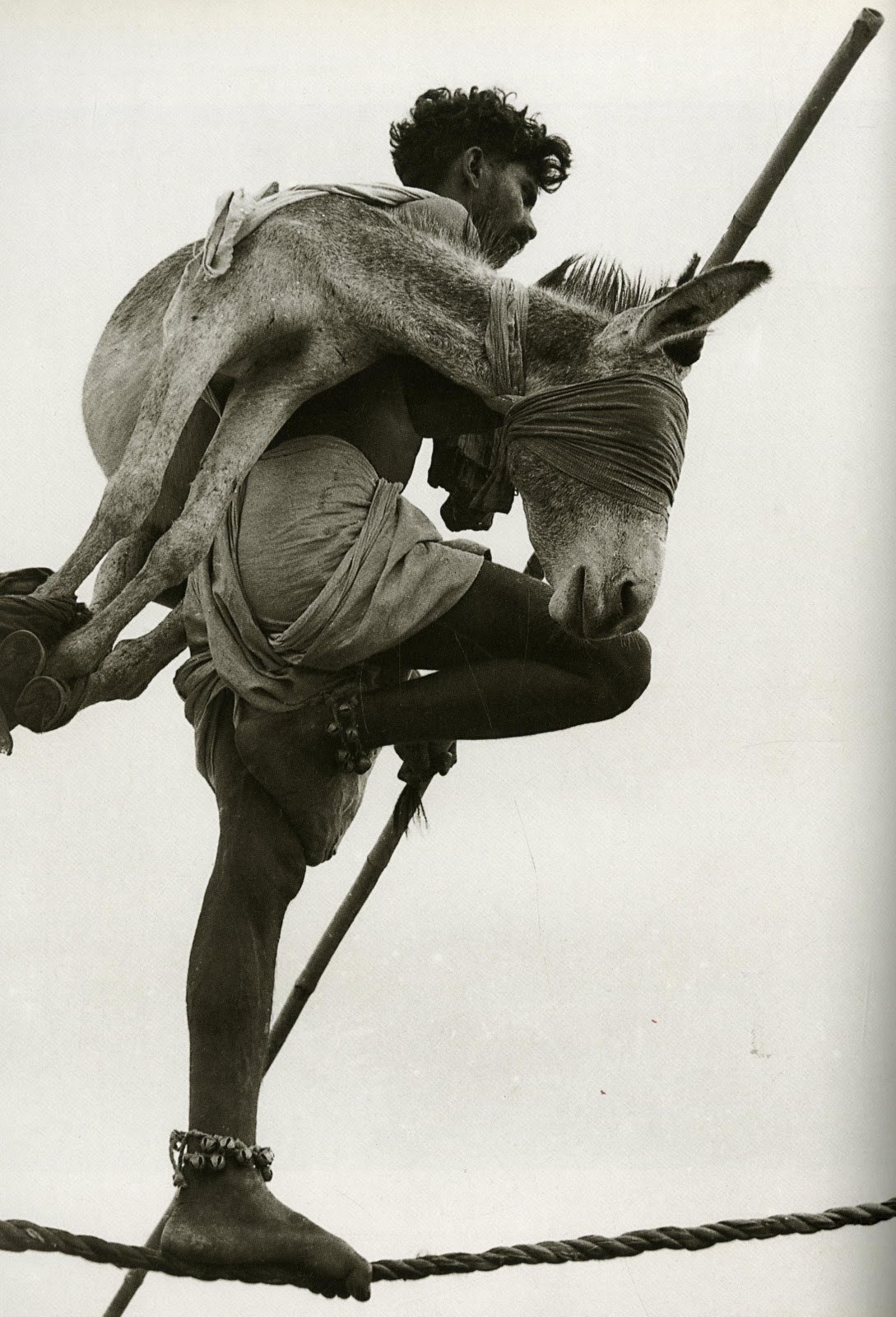 1089x1600, 312 Kb / канатоходец, шест, осел, ч/б