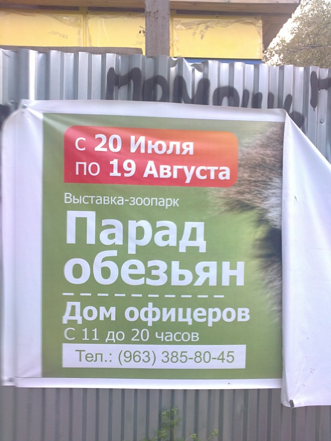 650x866, 167 Kb / объявление, парад