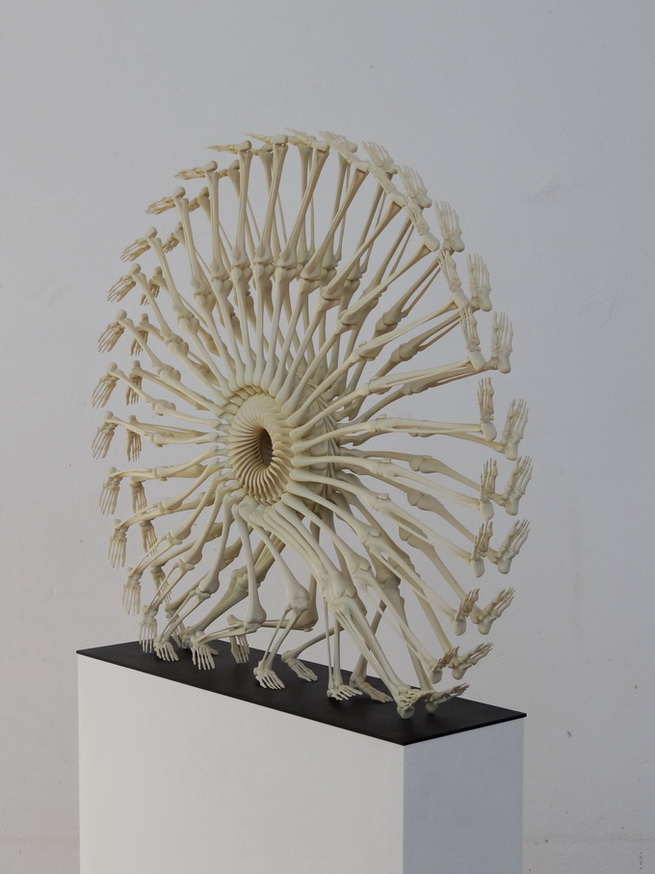 655x874, 153 Kb / скульптура, конечности, скелет, 3D