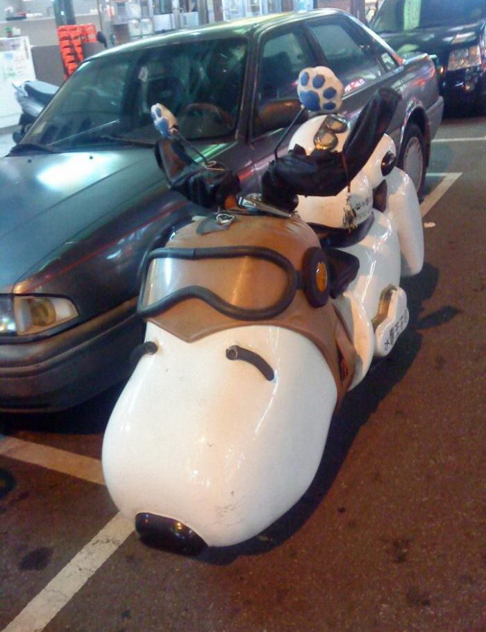 700x909, 182 Kb / мотороллер, очки, пес