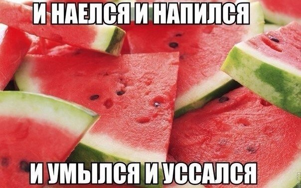 604x377, 66 Kb / арбуз, правда