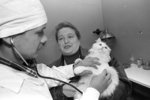 500x333, 81 Kb / доктор, тётя, кот, муррзик