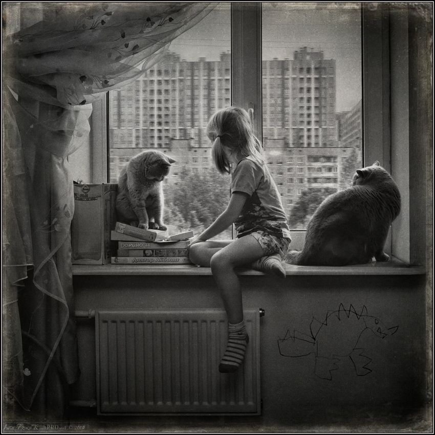 850x850, 334 Kb / Коты, Кот, Кошки, Кошка, Девочка, Шторы, Окно, Многоэтажный, Дом, Рисунок, Батарея, ч/б