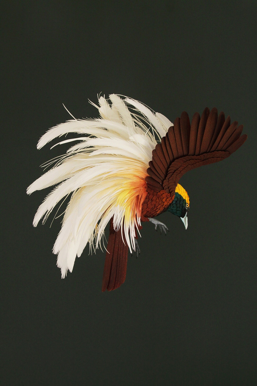 1000x1500, 300 Kb / Птица, бумага