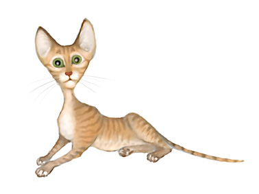 378x283, 29 Kb / кот