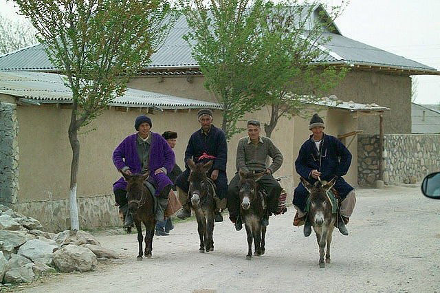 640x426, 188 Kb / аул, осёл, ишак, узбек