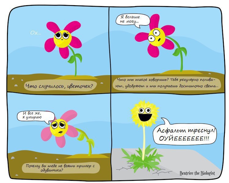 750x600, 76 Kb / цветочек, одуванчик, асфальт