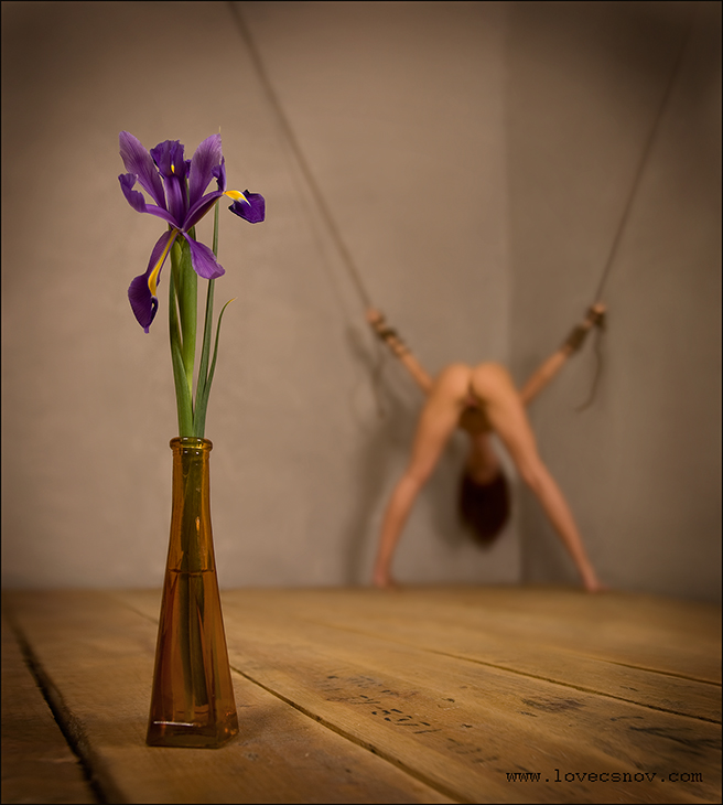 656x730, 244 Kb / цветы, ирис, букет, бдсм, угол, доска