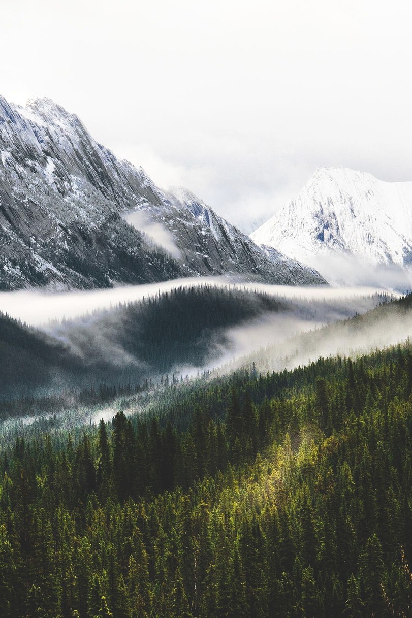 811x1217, 290 Kb / горы, природа, лес, туман