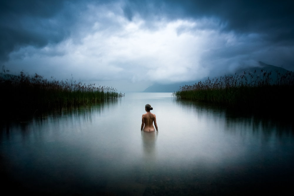 1000x667, 90 Kb / вода, тучи, камыш, вечер