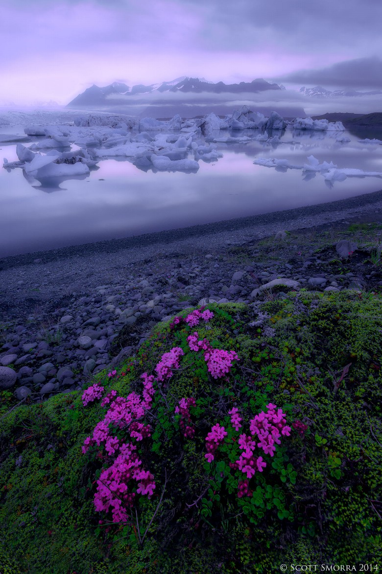 780x1170, 314 Kb / льдины, горы, цветы, облака