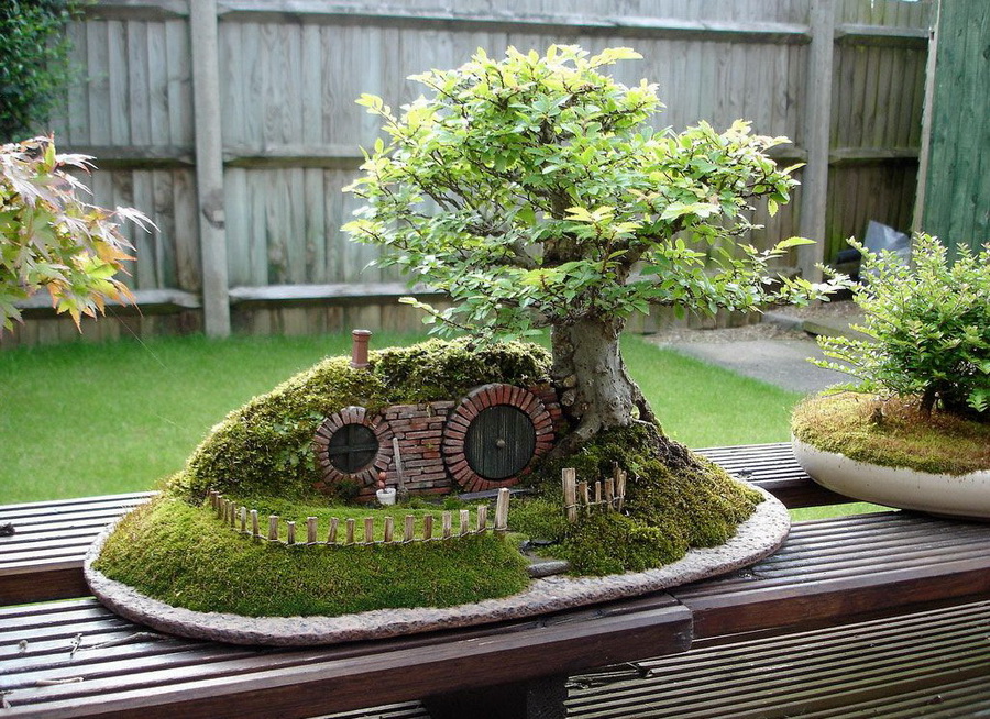 900x654, 324 Kb / дерево, бильбо бэггинс, икебана, клумба, трава, доска, забор