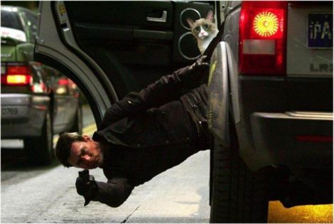 470x315, 26 Kb / фильм, фейк, кот